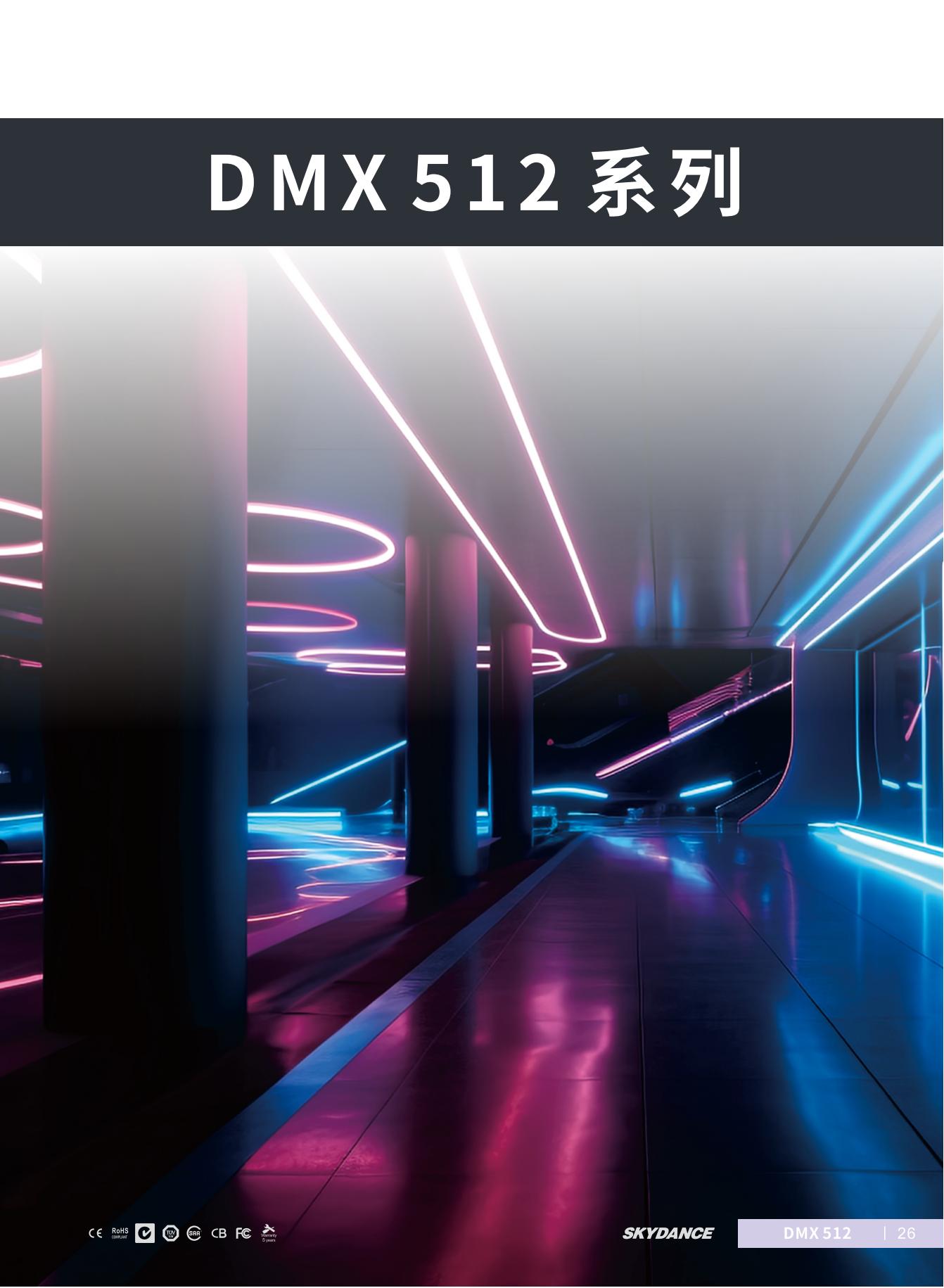 DMX_00.jpg